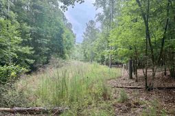 Lot 84 Timber Trail Lane photo 4