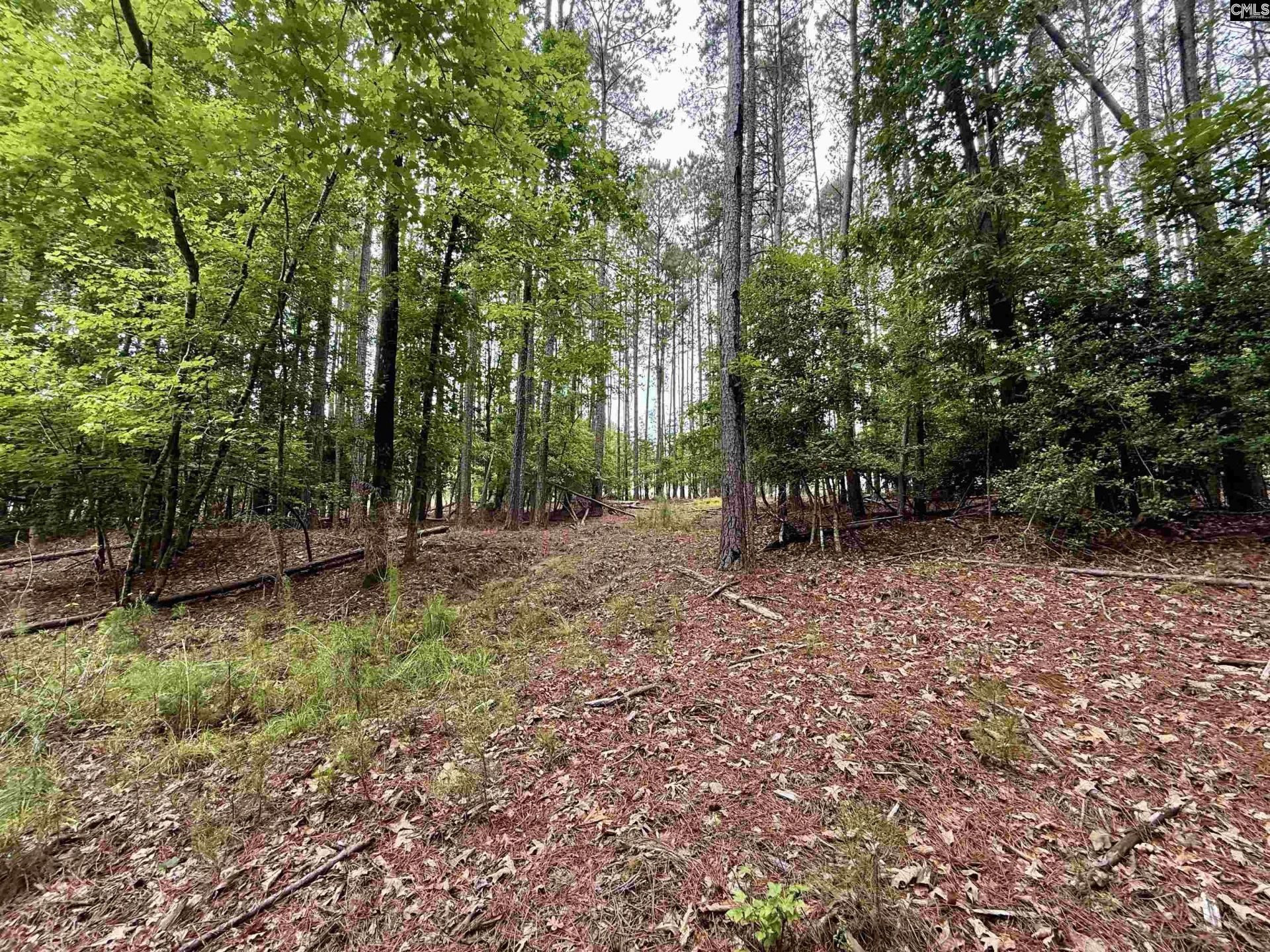 Lot 84 Timber Trail Lane Photo 6