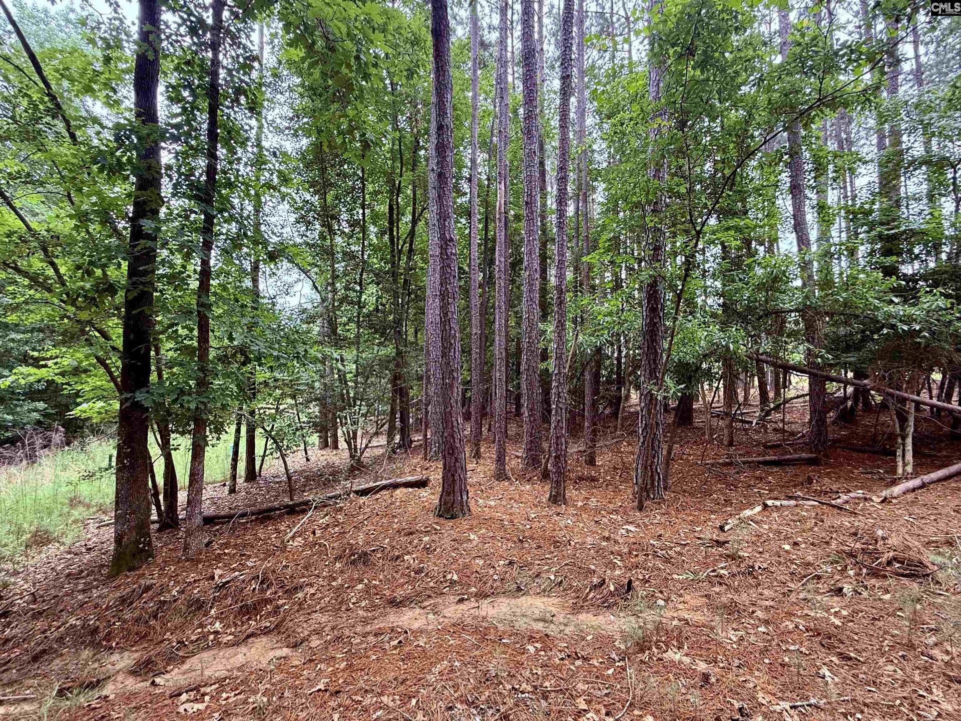Lot 84 Timber Trail Lane Photo 9