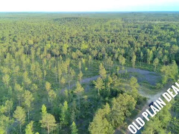 0 Old Plain Dealing Road , Plain Dealing, LA 71064