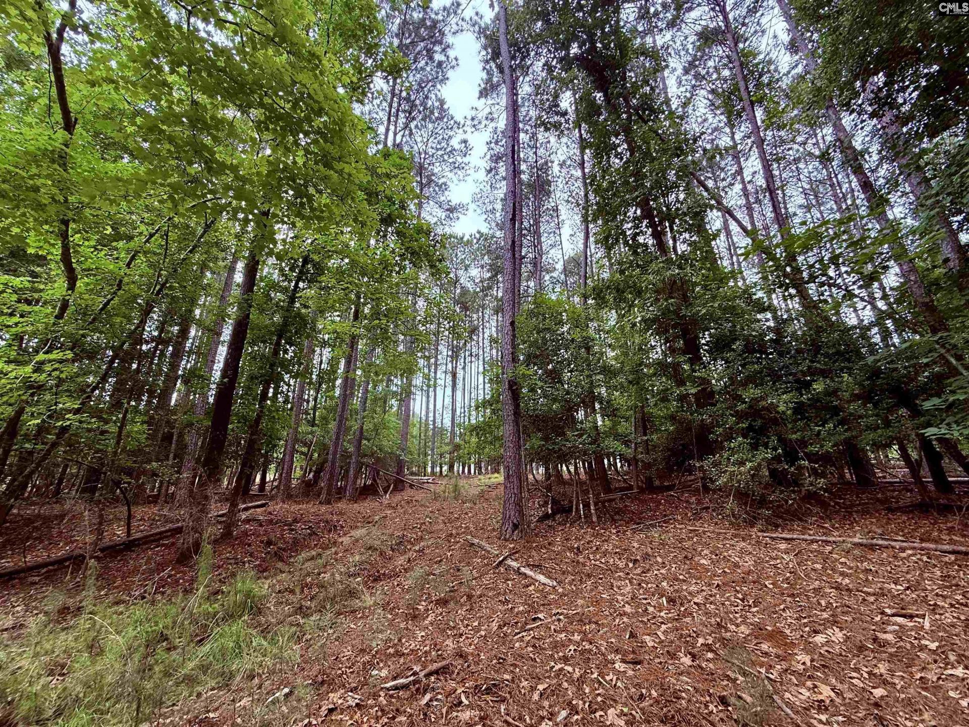 Lot 85 Timber Trail Lane Photo 11