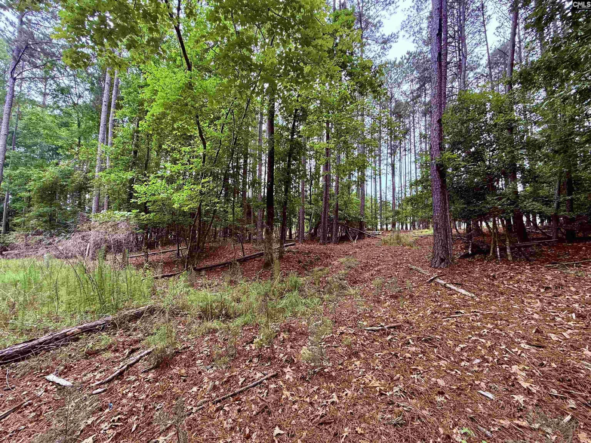 Lot 85 Timber Trail Lane Photo 12