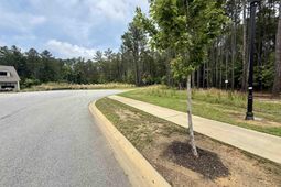 Lot 85 Timber Trail Lane photo 4