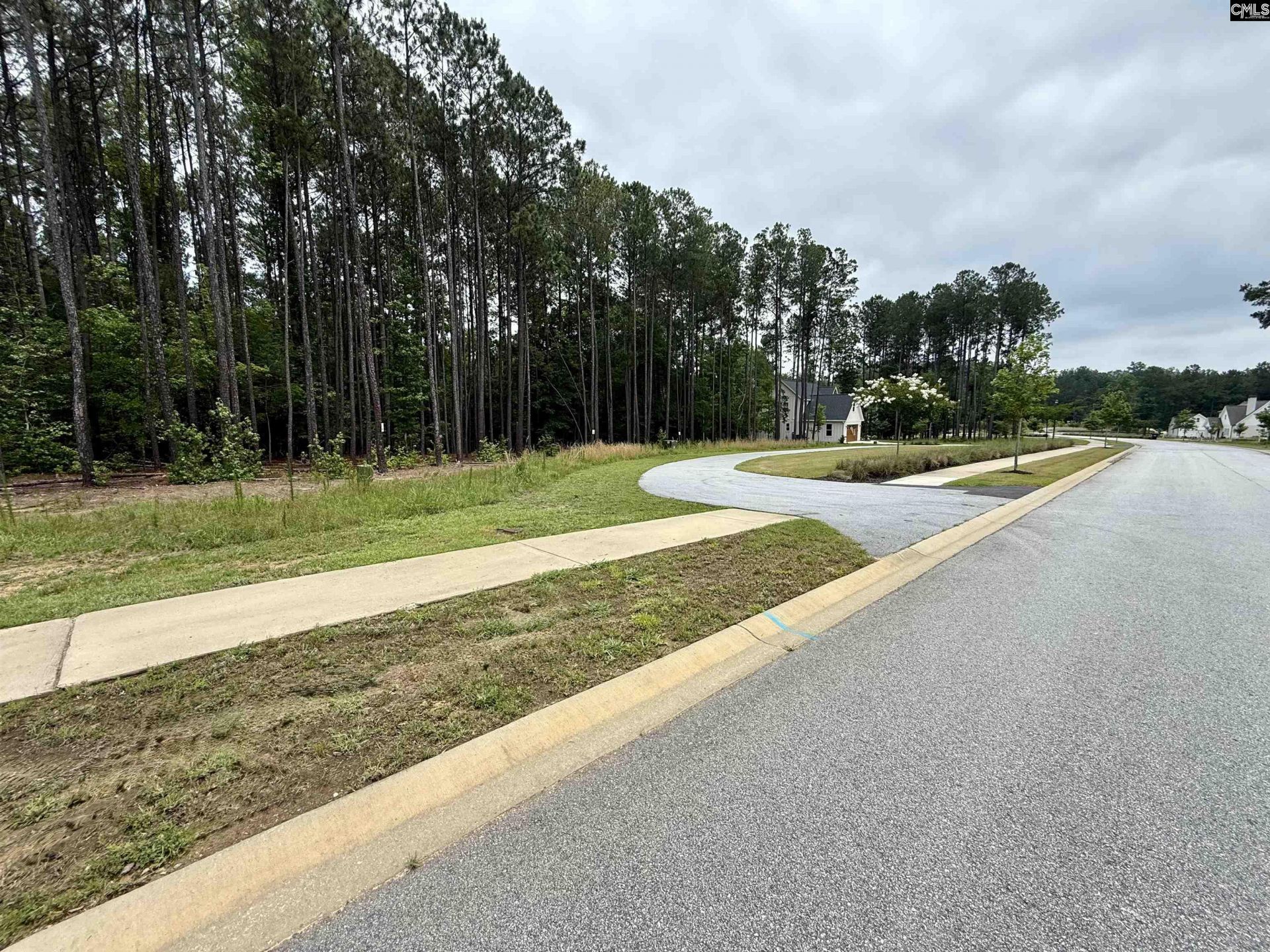 Lot 85 Timber Trail Lane Photo 4
