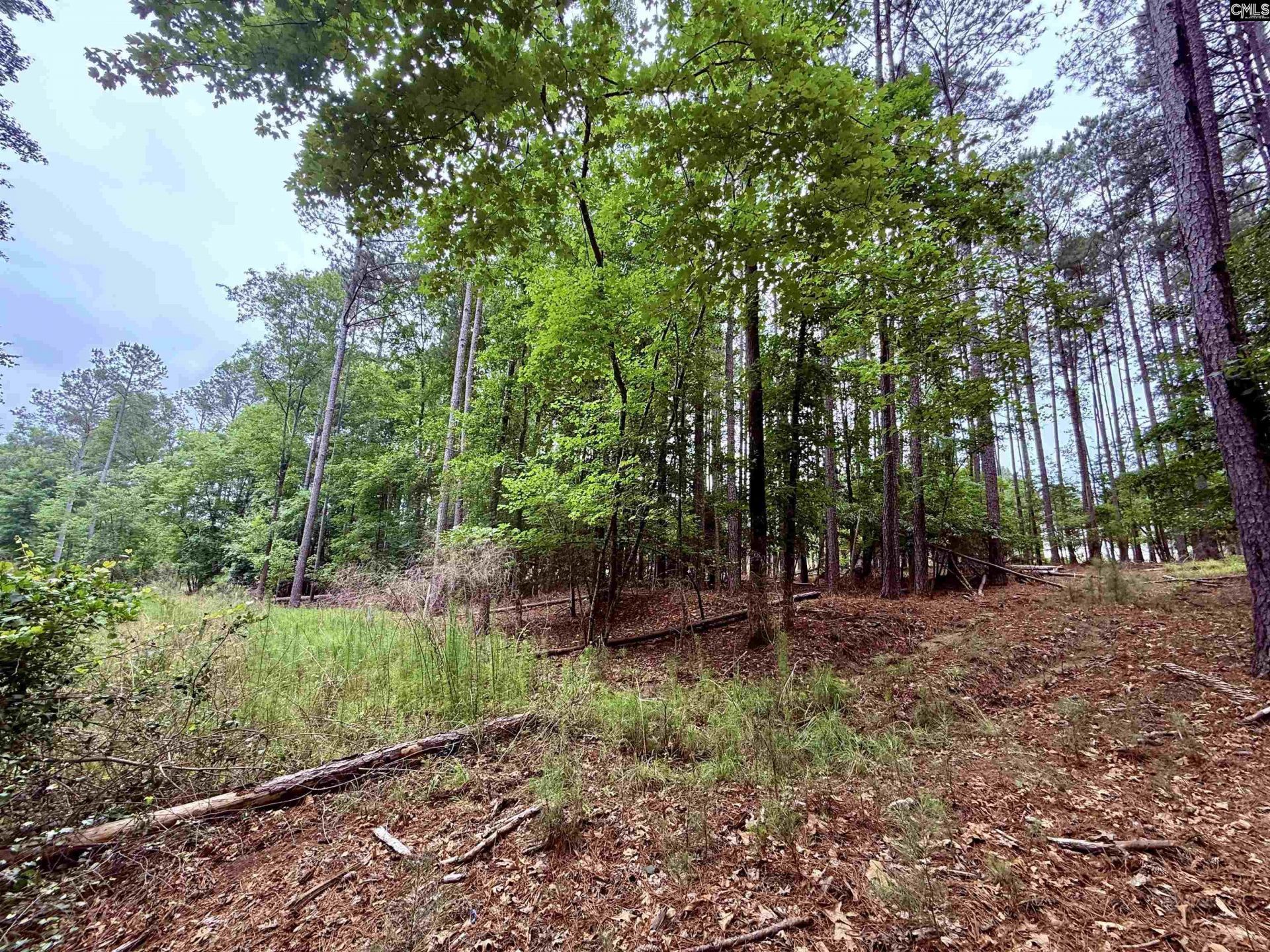 Lot 85 Timber Trail Lane Photo 6