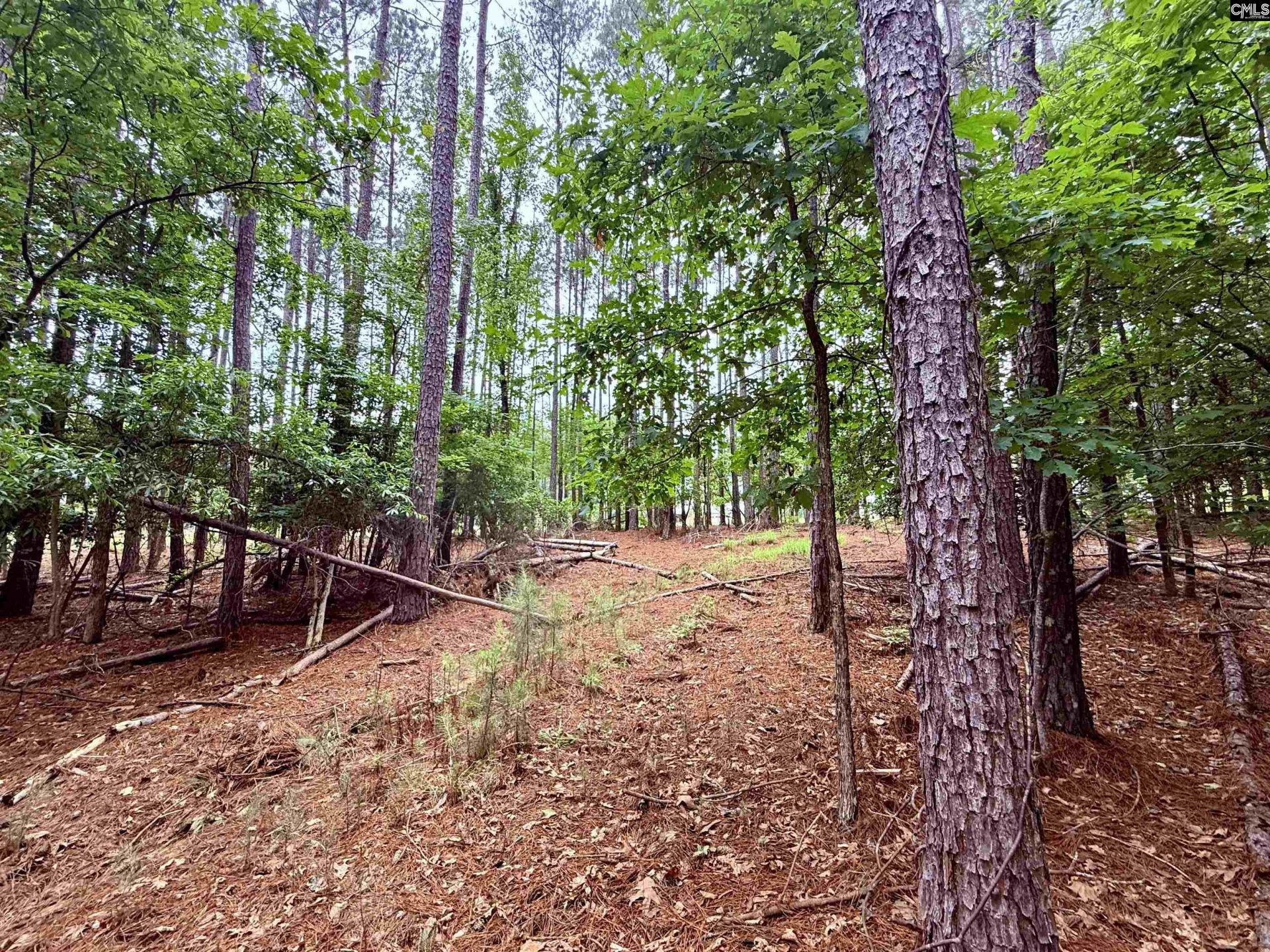 Lot 85 Timber Trail Lane Photo 8