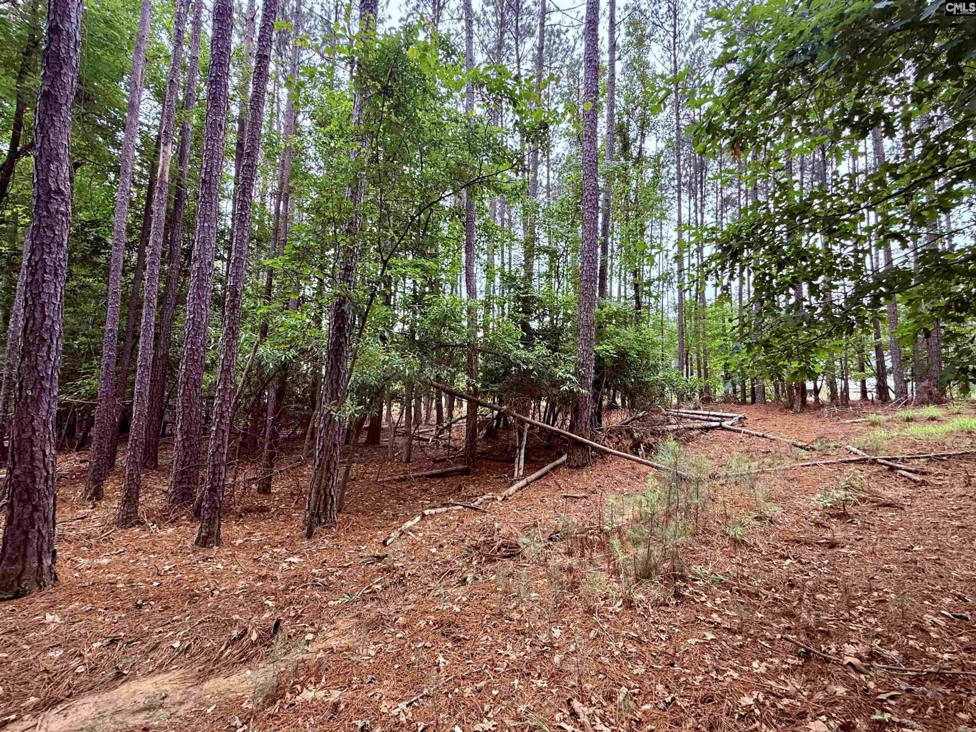 Lot 85 Timber Trail Lane Photo 9