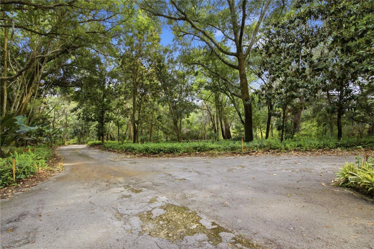 2271 Keystone Road, Tarpon Springs, FL 34688 Photo