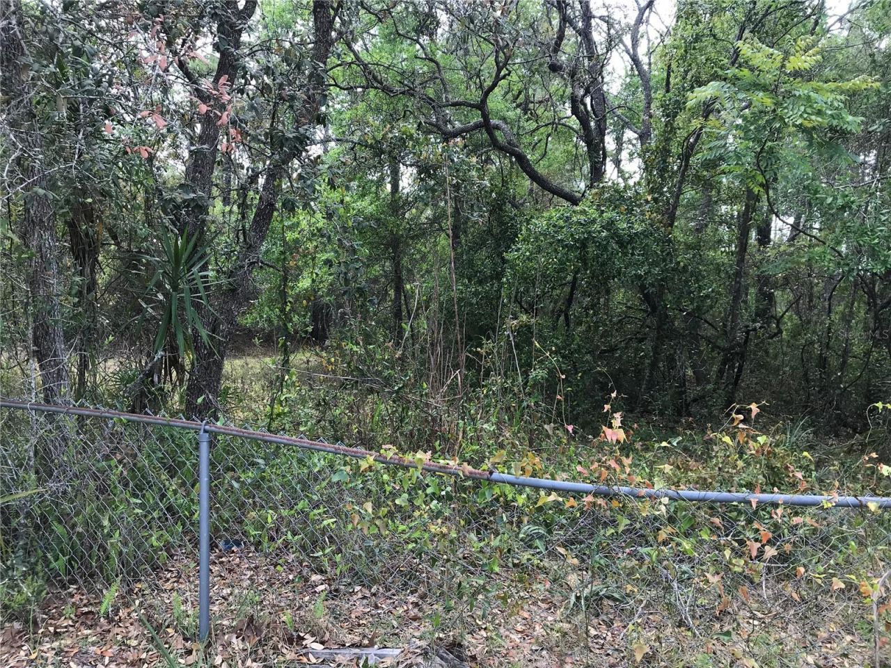 5830 W Spicey Hill Drive, Homosassa, FL 34448 Photo