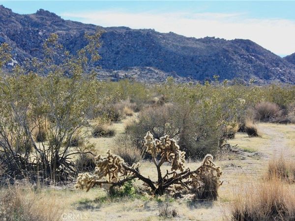64647 Foothill Drive, Joshua Tree, CA 92252