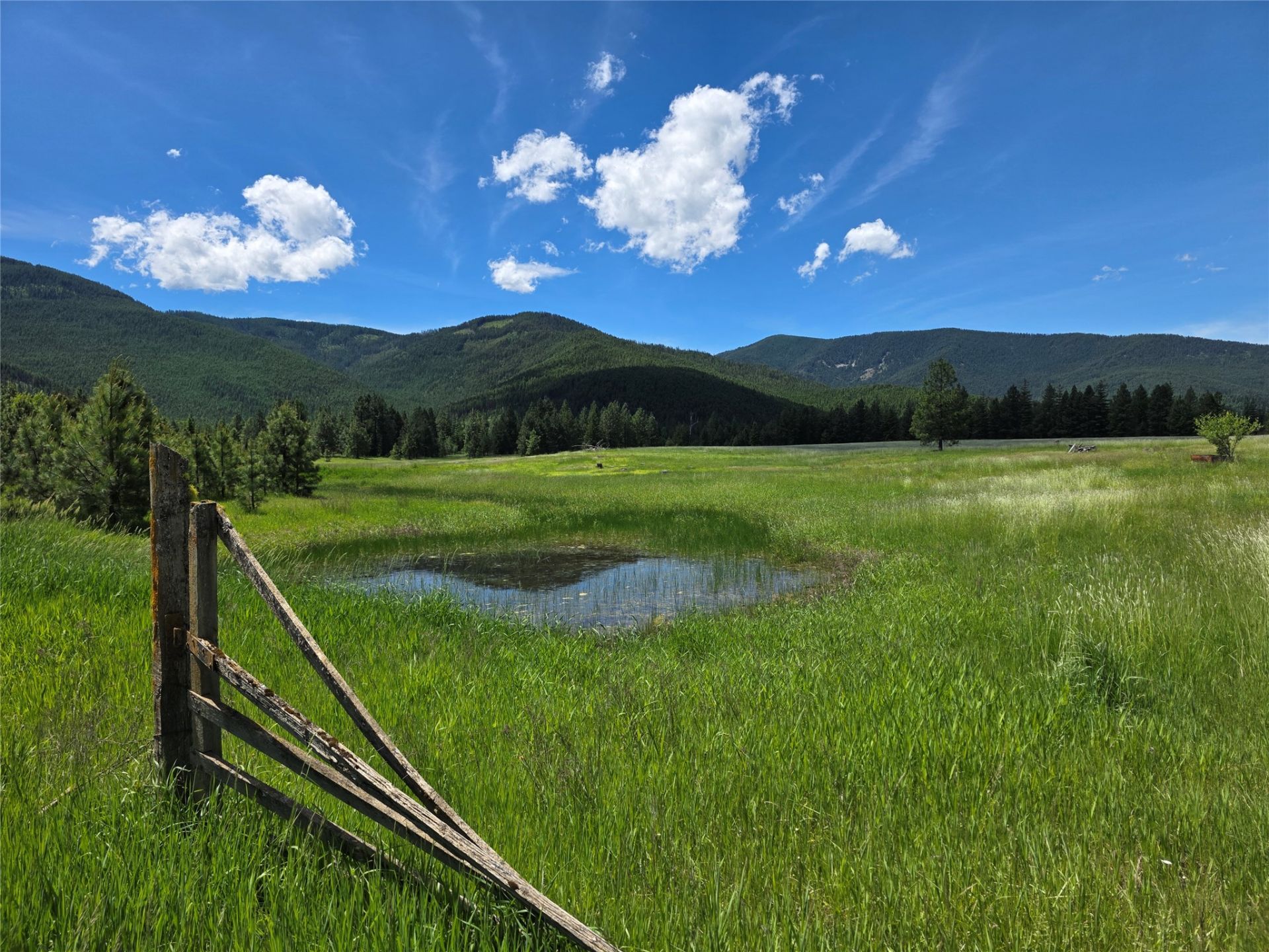 Lot 1 S Hill Road, Trout Creek, MT 59874 Main Photo