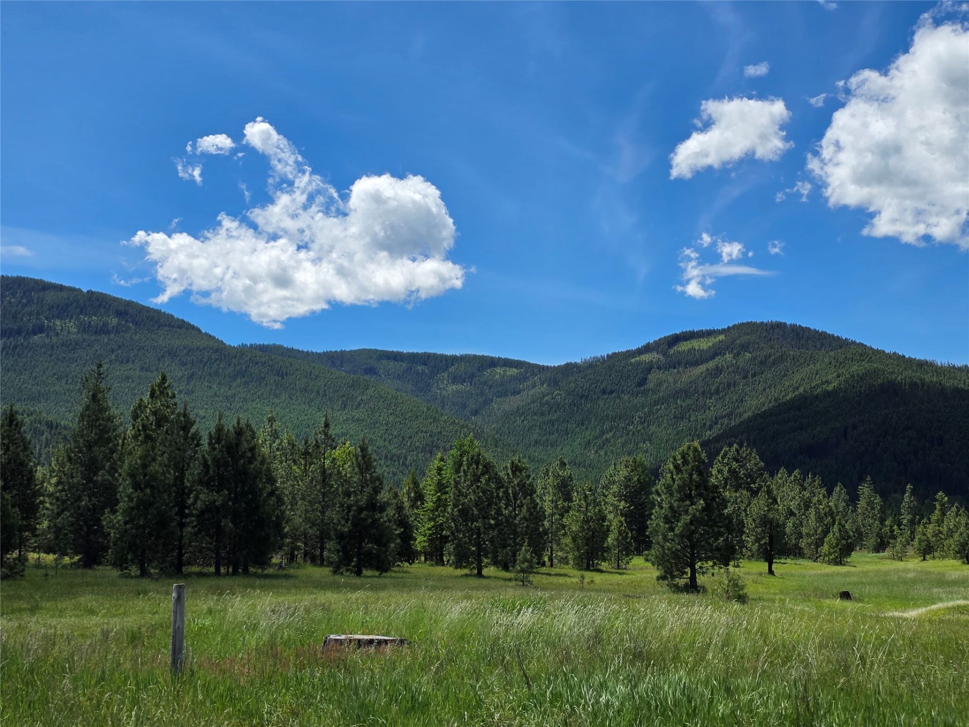 164 S Hill Road , Trout Creek, MT 59874 Main Photo