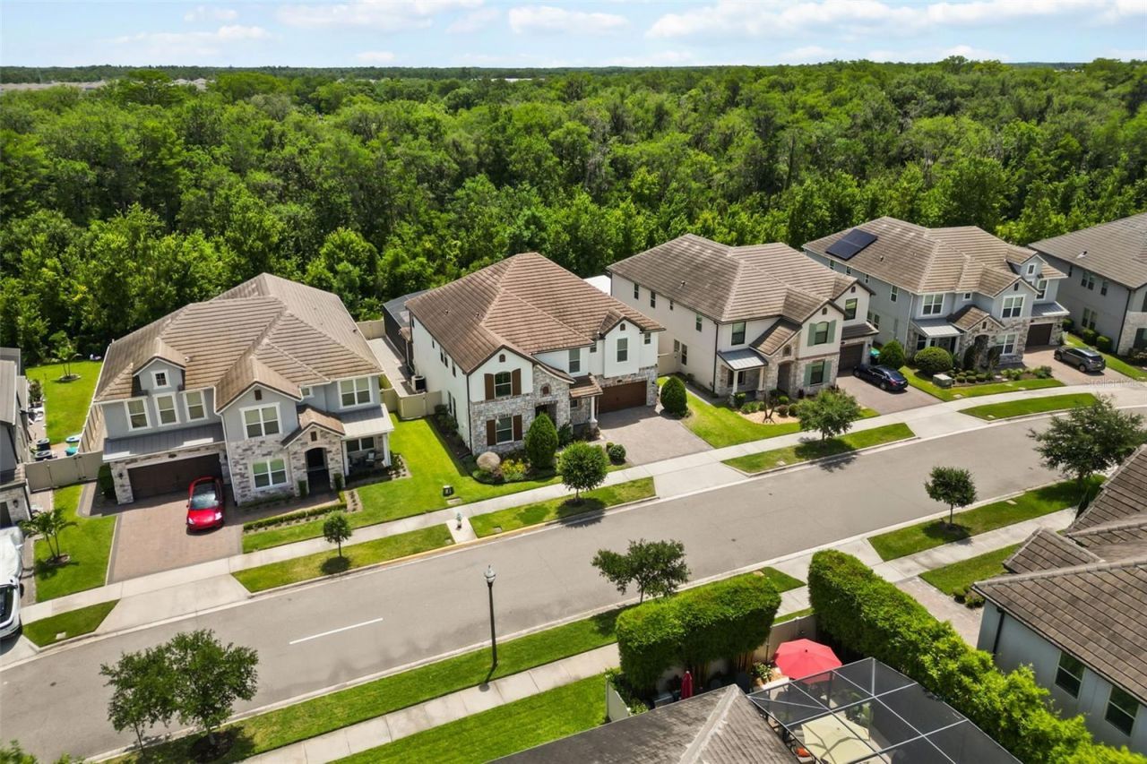 10713 Belle Maisons Drive, Orlando, FL 32832 Photo
