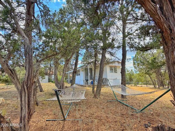 3405 BUCKHORN BEND Road, Overgaard, AZ 85933