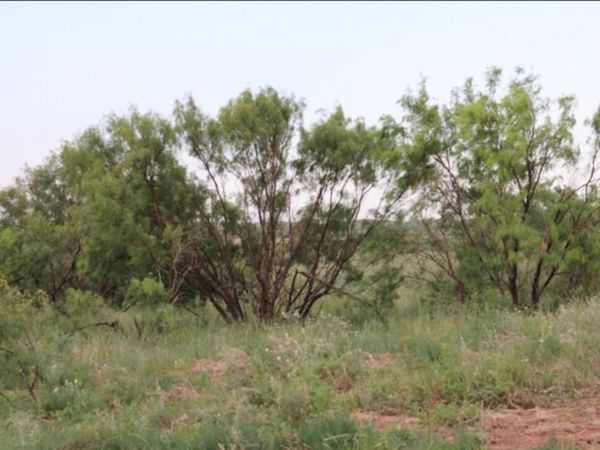 300 County Road 232 , Rotan, TX 79546