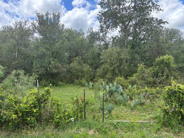TBD CR 472 , Thrall, TX 76578