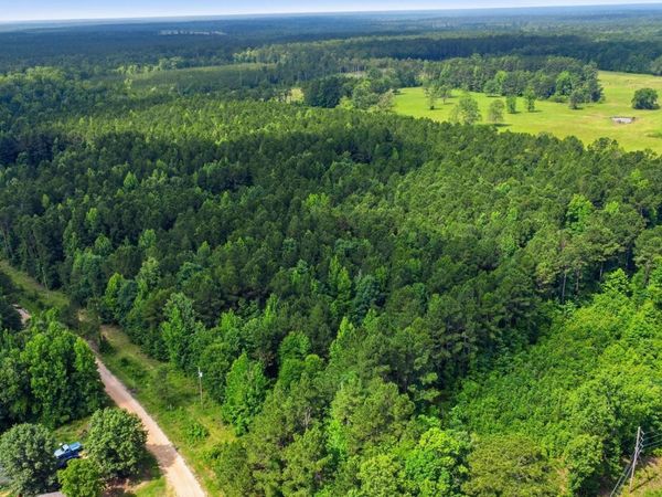 4.7 Acres (Tract 1) Grant 18 , Grapevine, AR 72057