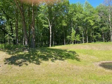 Lot 5 Dollar Ridge Lane, Green Oak Township, Mi 48178