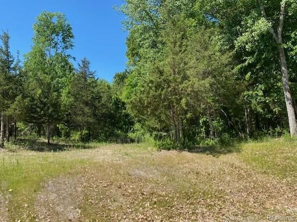 lot 5 Dollar Ridge Lane, Green Oak Twp, MI 48178