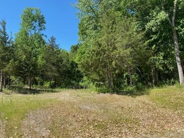lot 5 Dollar Ridge Lane, Green Oak Twp, MI 48178
