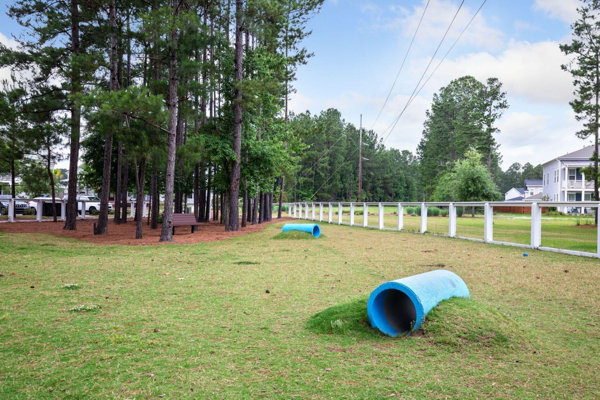 262 Great Lawn Drive Photo 48