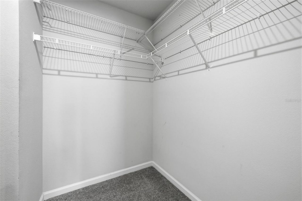11385 Spectacled Drive , New Port Richey, FL 34654 Photo