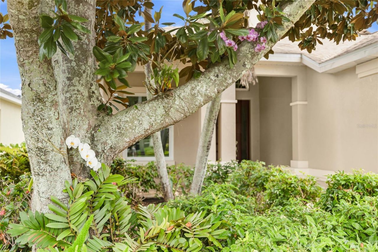 3631 Summerwind Circle , Bradenton, FL 34209 Photo
