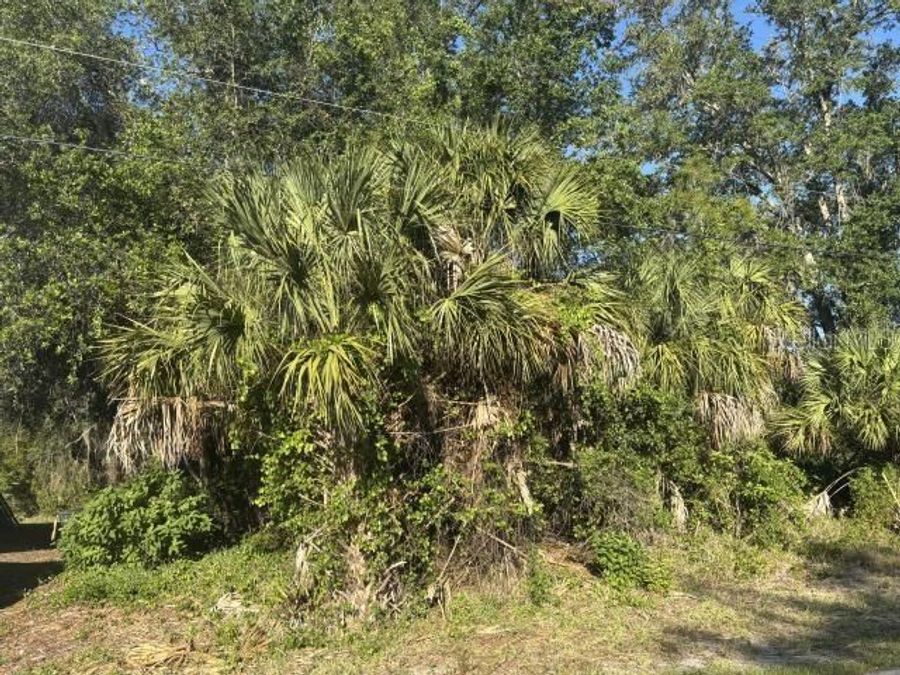 Property Image 6