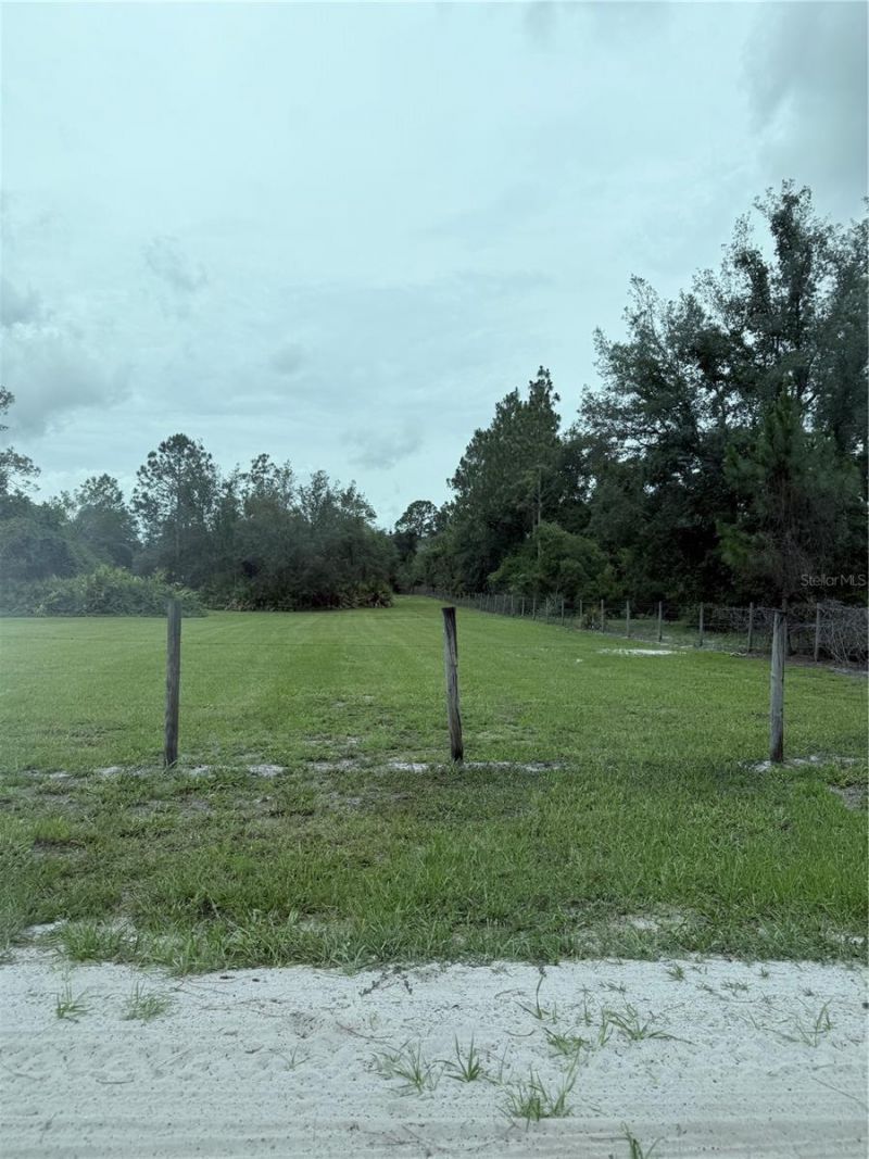 Lot 4 Red Oak Drive, Eustis, FL 32736 Photo