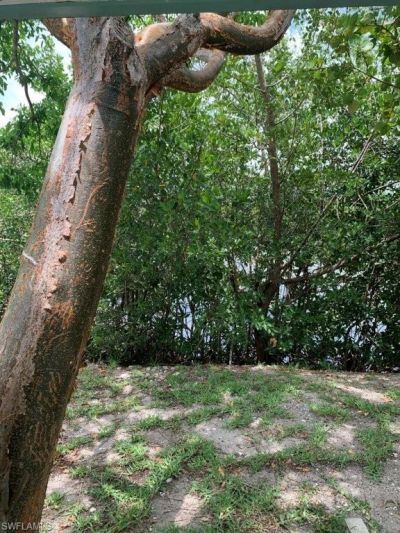 2414 Palm Ridge Rd, Unit B, Sanibel, FL 33957 Photo