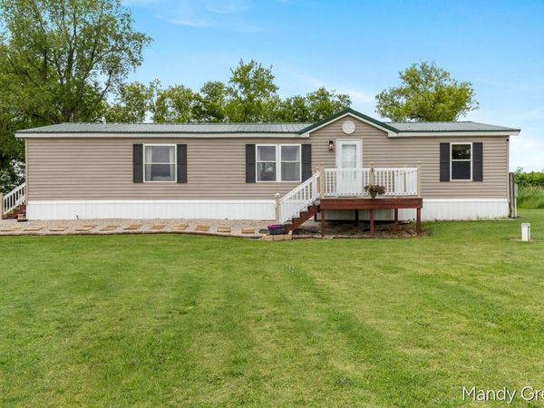 1007 Dildine Road, Ionia, MI 48846