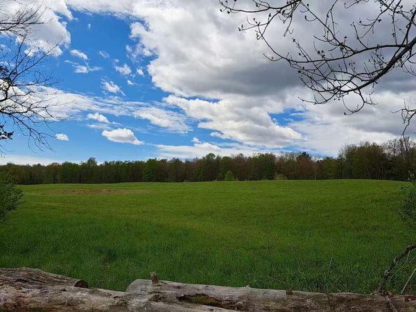 10755 NYS Route 13 , Call Listing Agent, NY 13316