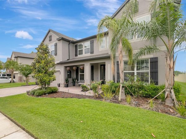 19335 EAGLE CREEK LANE , TAMPA, FL 33647