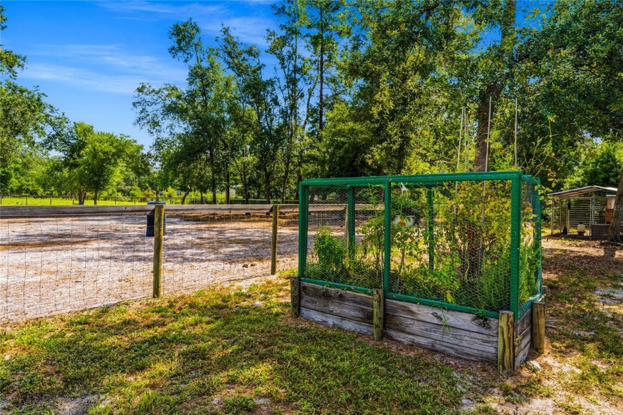135 Linda Sue Drive, Lake Helen, FL 32744 Photo