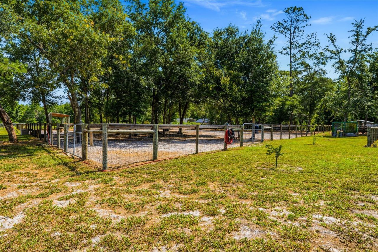 135 Linda Sue Drive, Lake Helen, FL 32744 Photo