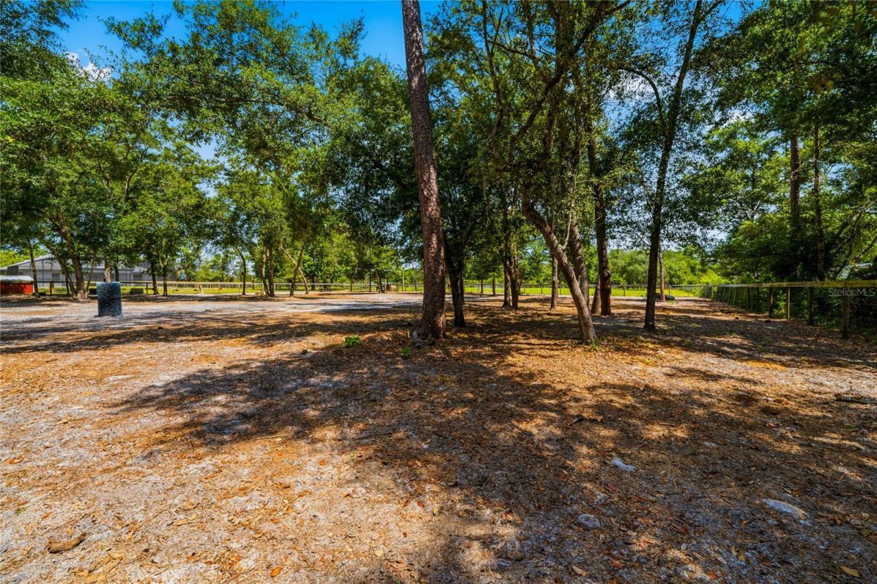 135 Linda Sue Drive, Lake Helen, FL 32744 Photo