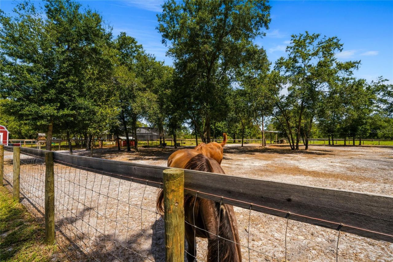 135 Linda Sue Drive, Lake Helen, FL 32744 Photo