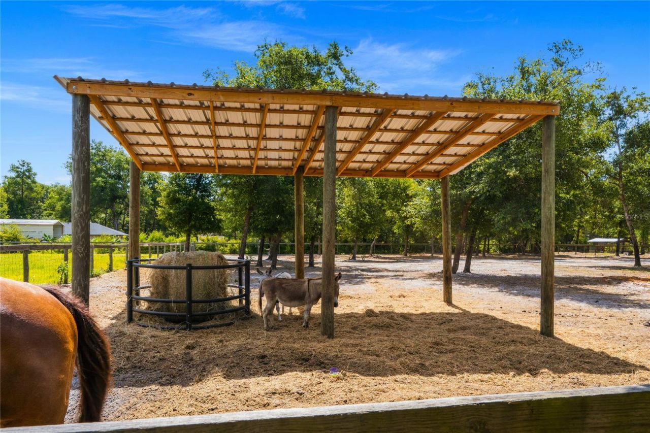 135 Linda Sue Drive, Lake Helen, FL 32744 Photo