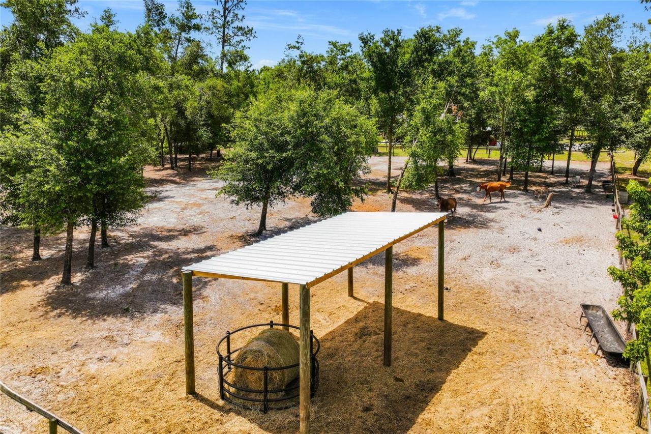 135 Linda Sue Drive, Lake Helen, FL 32744 Photo