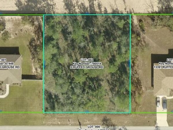 0 RUFFED GROUSE ROAD , WEEKI WACHEE, FL 34614
