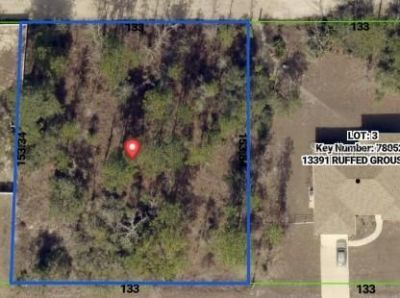 0 Ruffed Grouse Road, Weeki Wachee, FL 34614 Photo