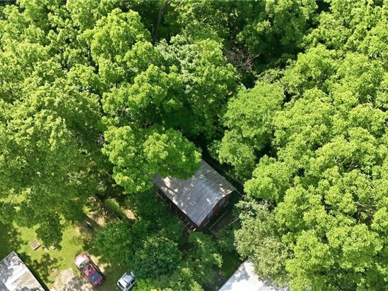 120 1/2 Glen Street, Yellow Springs, OH 45387 Photo 33