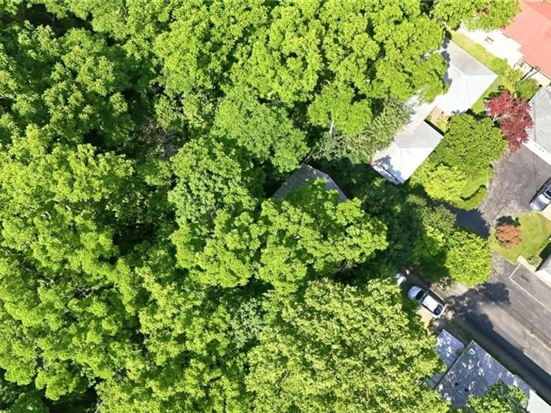 120 1/2 Glen Street, Yellow Springs, OH 45387 Photo 34