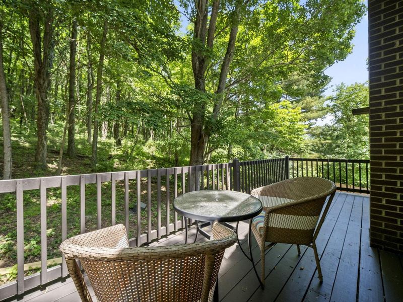 288 Bridle Path Lane, Granville, OH 43023 Photo 43