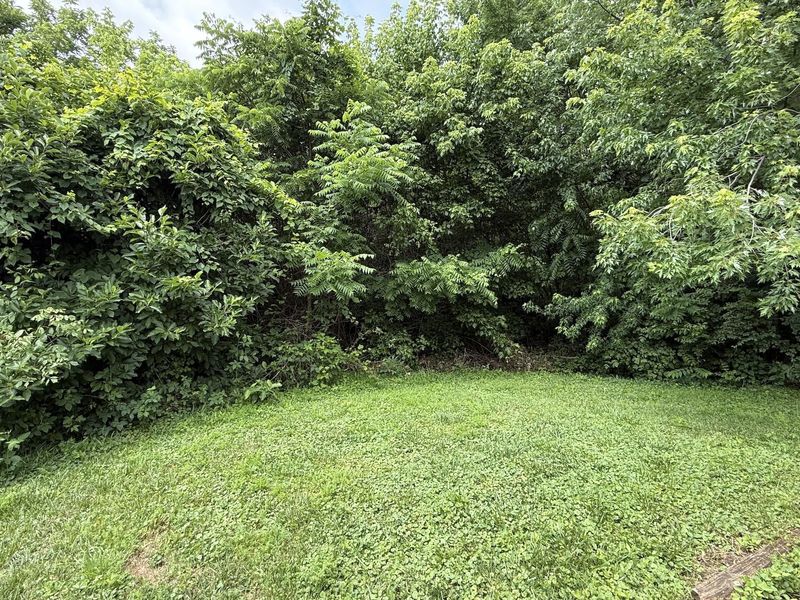 37 Goodridge Drive, Florence, KY 41042 Photo 22