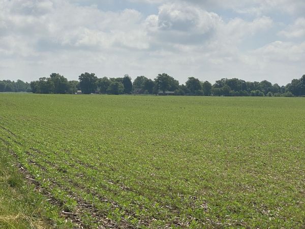 TBD E State Road 236 , North Salem, IN 46165
