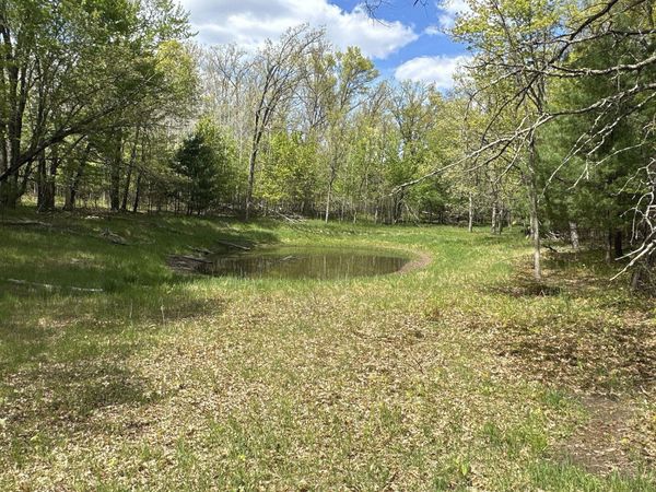 25275 Bruss Road, Webster, WI 54893