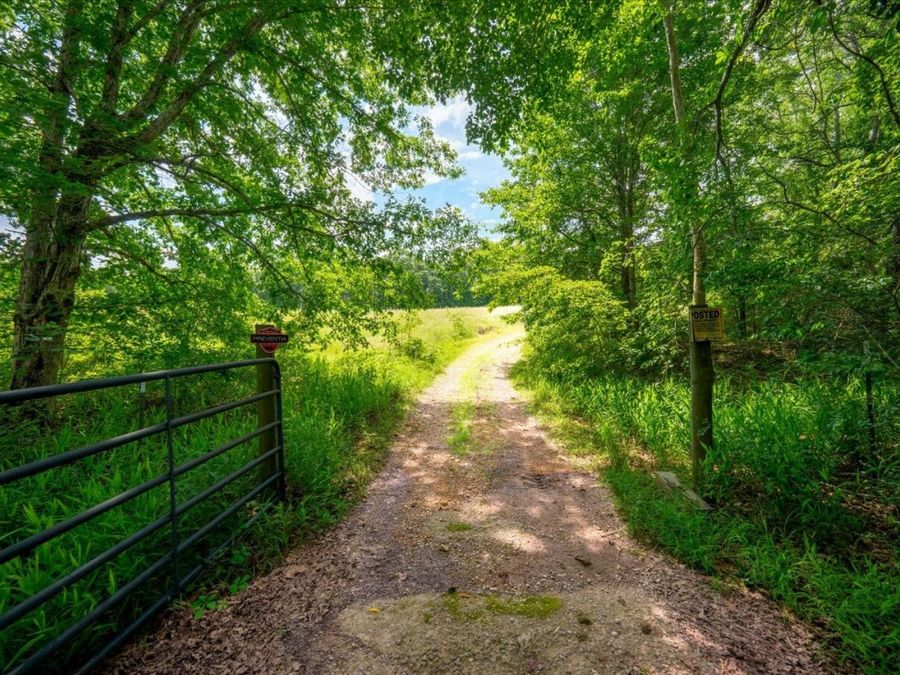 Property Image 71