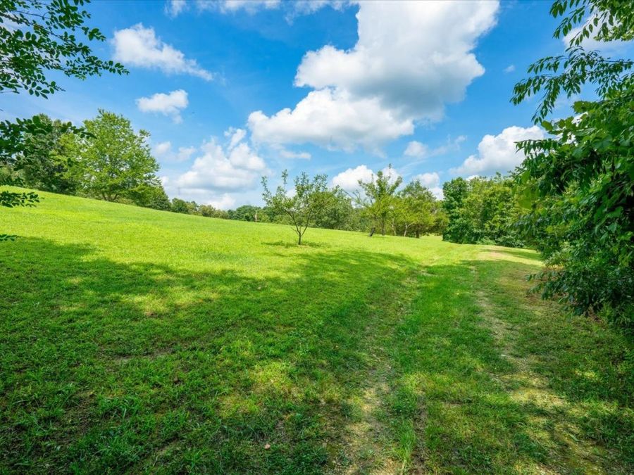 Property Image 73