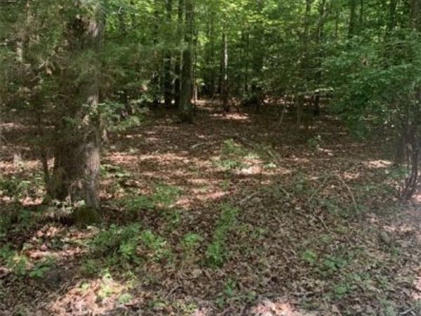 TBD New Kent Highway, Lanexa, VA 23089